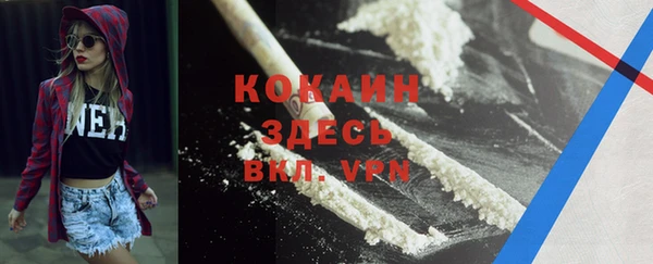 не бодяженный Бородино