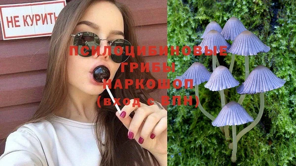 СК Бугульма