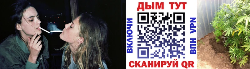 МАРИХУАНА конопля  shop наркотические препараты  Северодвинск 